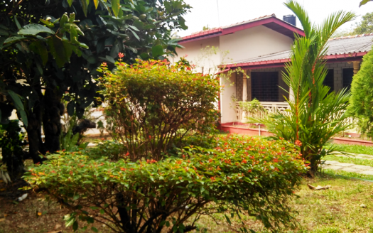 Semi luxury house for sale in Pitakotte