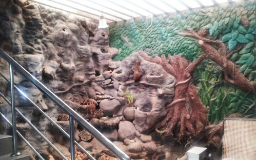 Ten roomed house for sale in Pepiliyana Road, Nugegoda