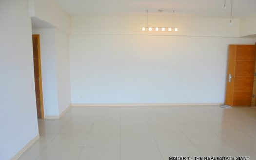 Apartment for Sale at Havelock City