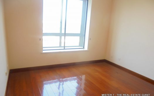 Apartment for Sale at Havelock City