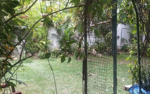 Office space for rent in Colombo 8