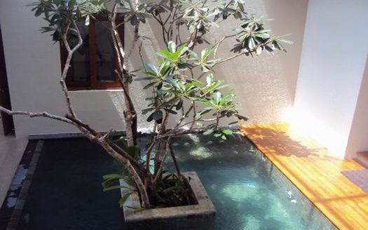 Brandnew house for sale