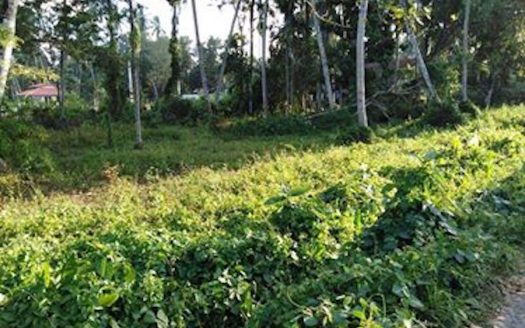 40 Perched land for Sale in Athurugiriya