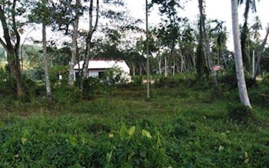 40 Perched land for Sale in Athurugiriya
