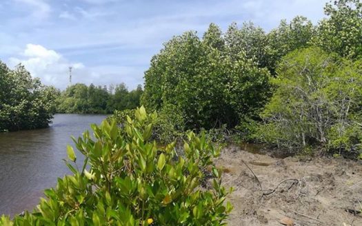 180 perches land in Ahangama, Goviyapana